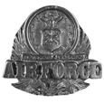 U.S. Air Force Antiqued Lapel Pin